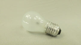 BULB LIGHT (40W-250V)
